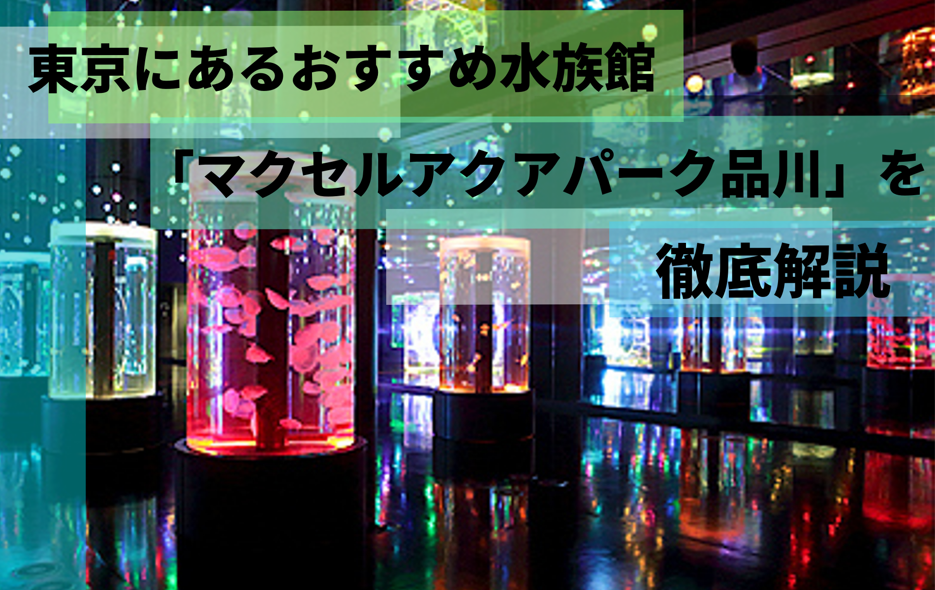 東京にあるおすすめ水族館 マクセルアクアパーク品川 を徹底解説 ふぉむすい