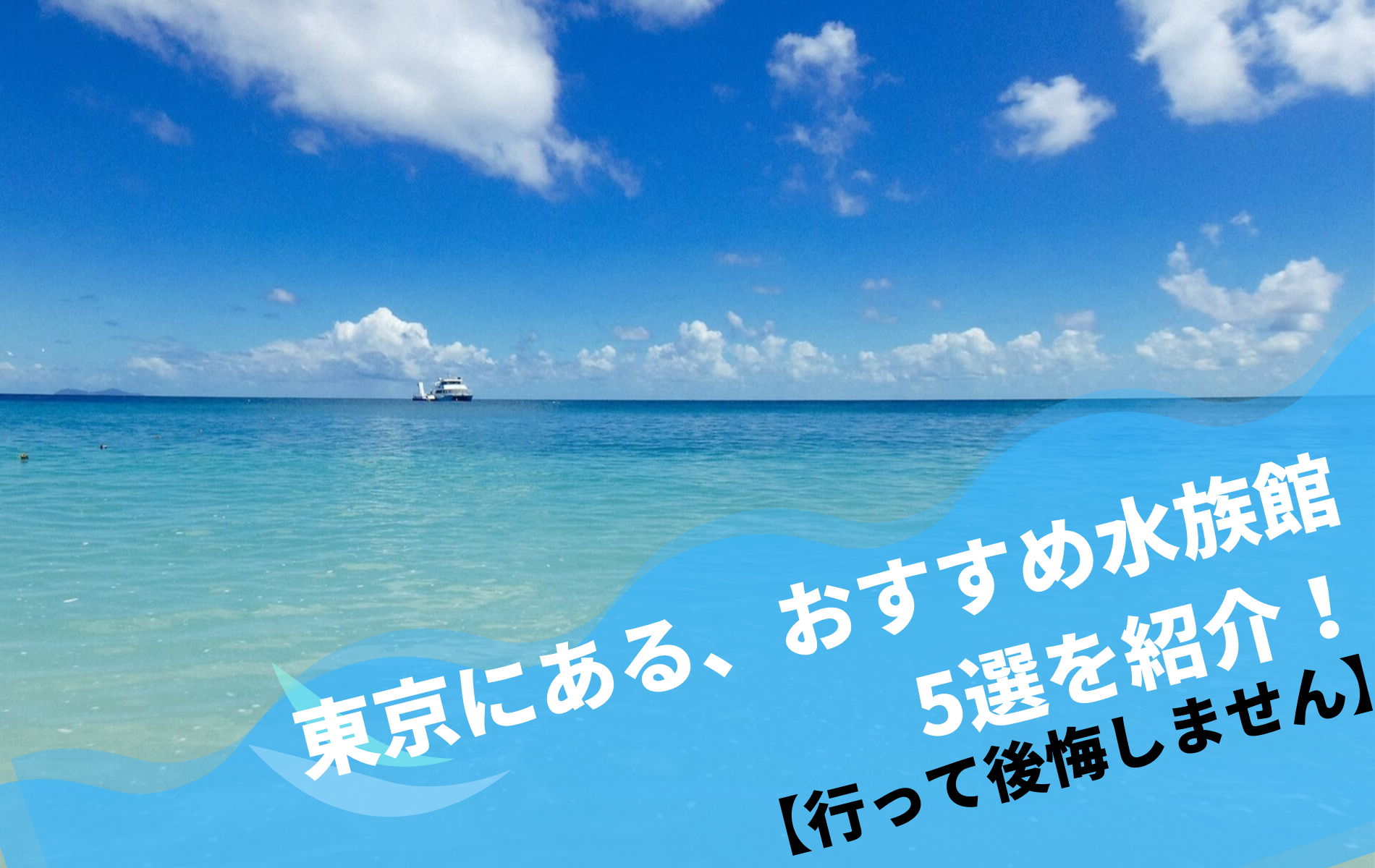 東京にある おすすめ水族館5選を紹介 行って後悔しません ふぉむすい