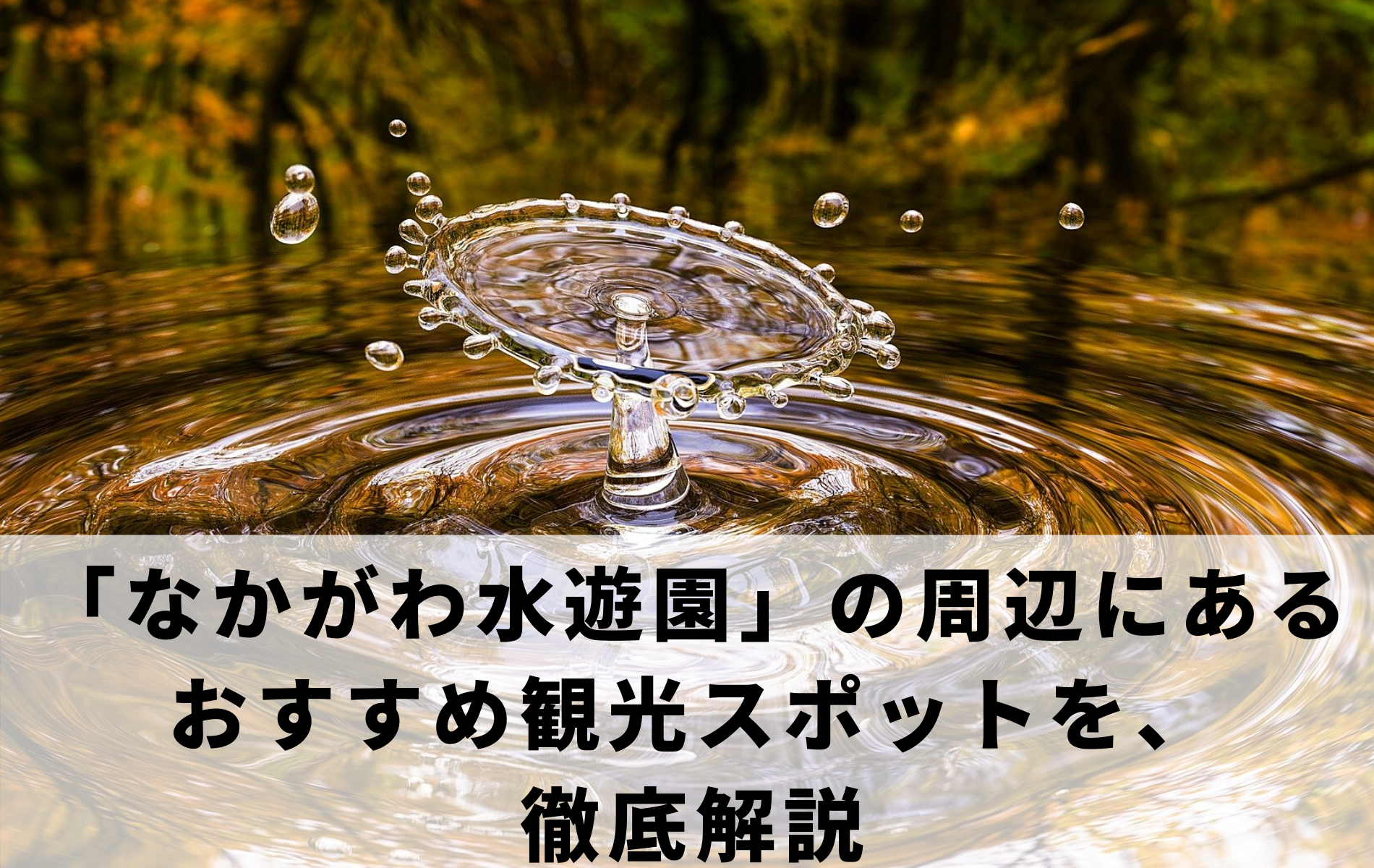 なかがわ水遊園 の周辺にあるおすすめ観光スポットを 徹底解説 ふぉむすい