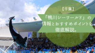 日本で2ヶ所だけ シャチに出会える人気水族館2選を紹介します ふぉむすい