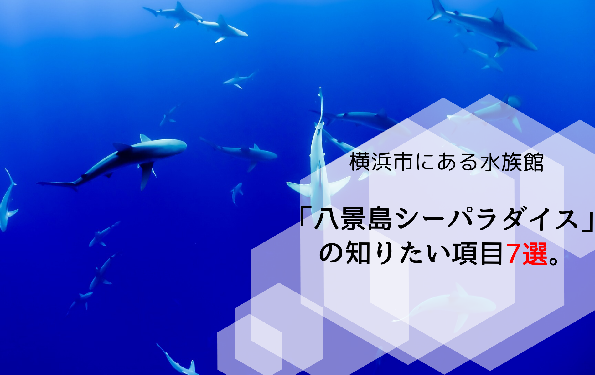 横浜市にある水族館 八景島シーパラダイス の知りたい項目7選 ふぉむすい