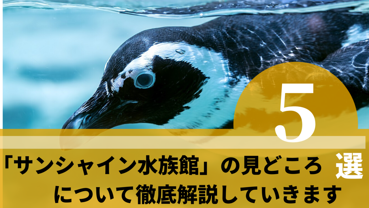 サンシャイン水族館 の見どころ5選について徹底解説していきます ふぉむすい