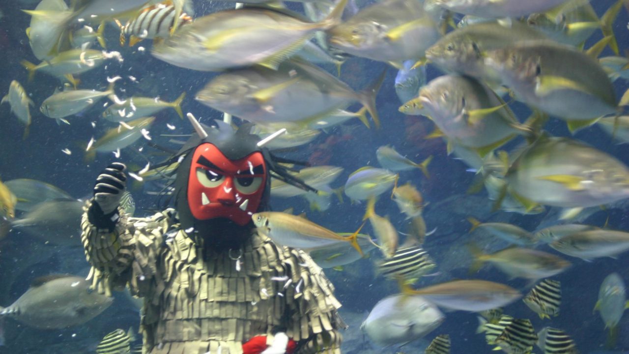 Oga Aquarium GAO Deliver Good Fortune to the Aquarium Tank with Namahage Divers!