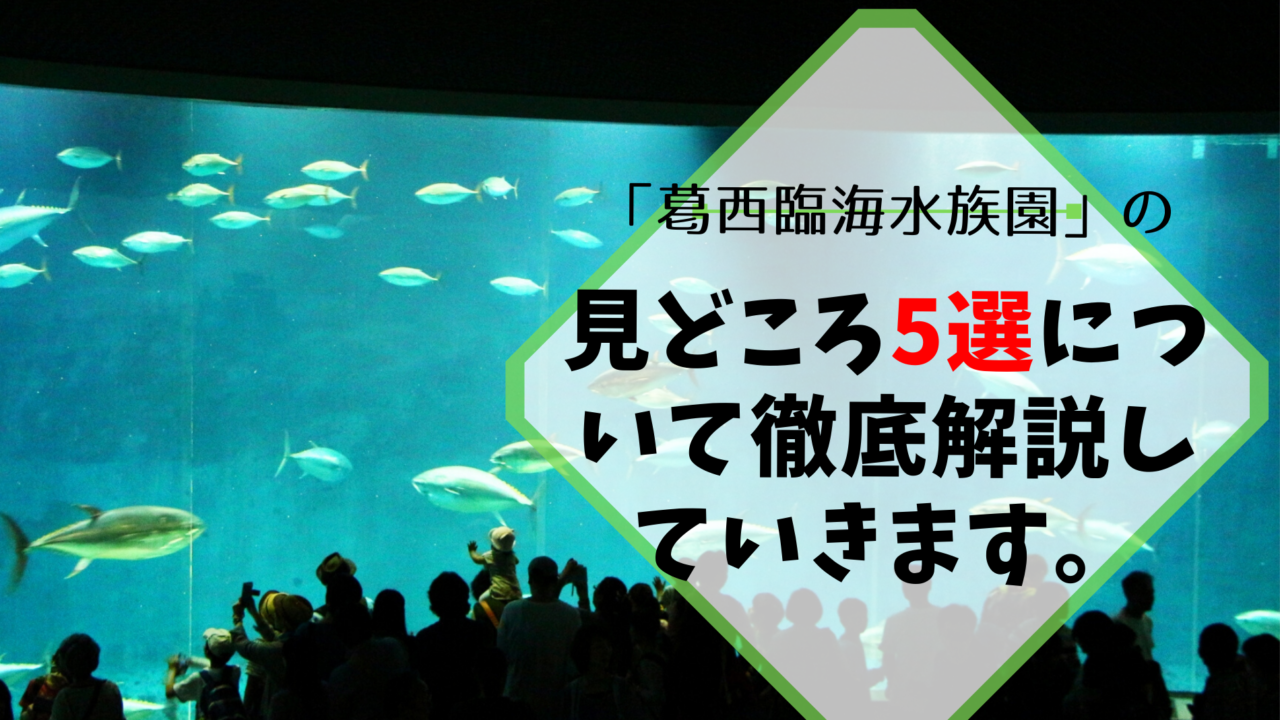 マグロで有名 葛西臨海水族園の見どころ5選を厳選したうえで紹介 ふぉむすい