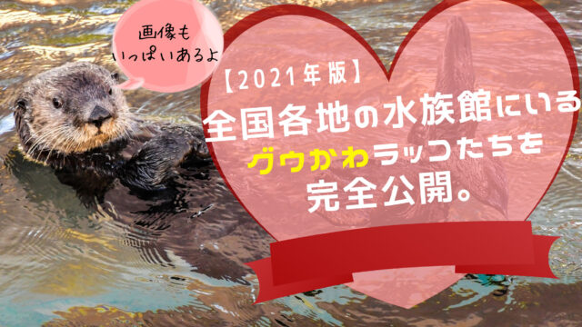 21年5月版 全国各地の水族館にいるグウかわラッコたちを公開 ふぉむすい