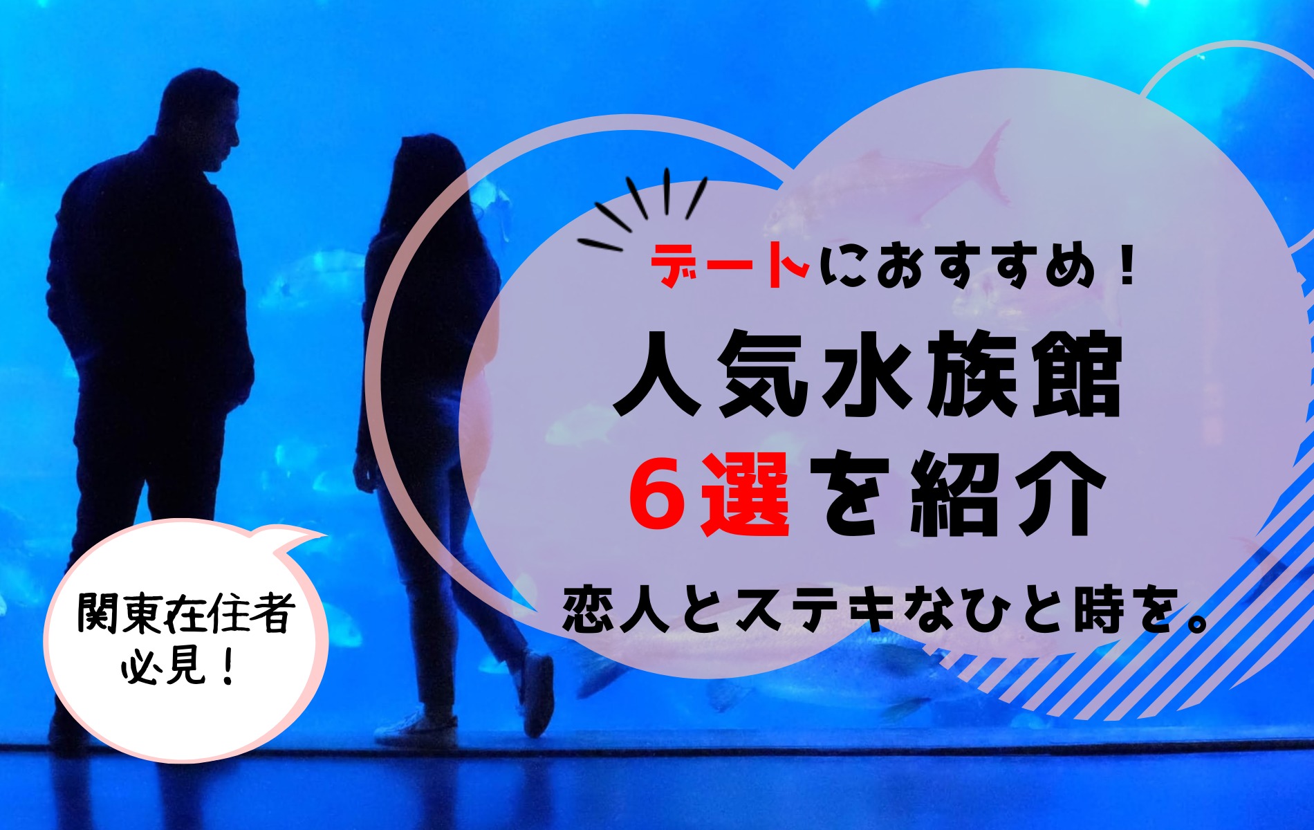 デートにおすすめの人気水族館6選を紹介 恋人とステキなひと時を ふぉむすい