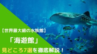 超ボリューム 日本全国の大きい水族館ランキングtop10を発表 ふぉむすい