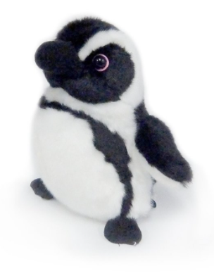 京都水族館で話題沸騰のペンギンたち より楽しめる豆知識5選も紹介 ふぉむすい