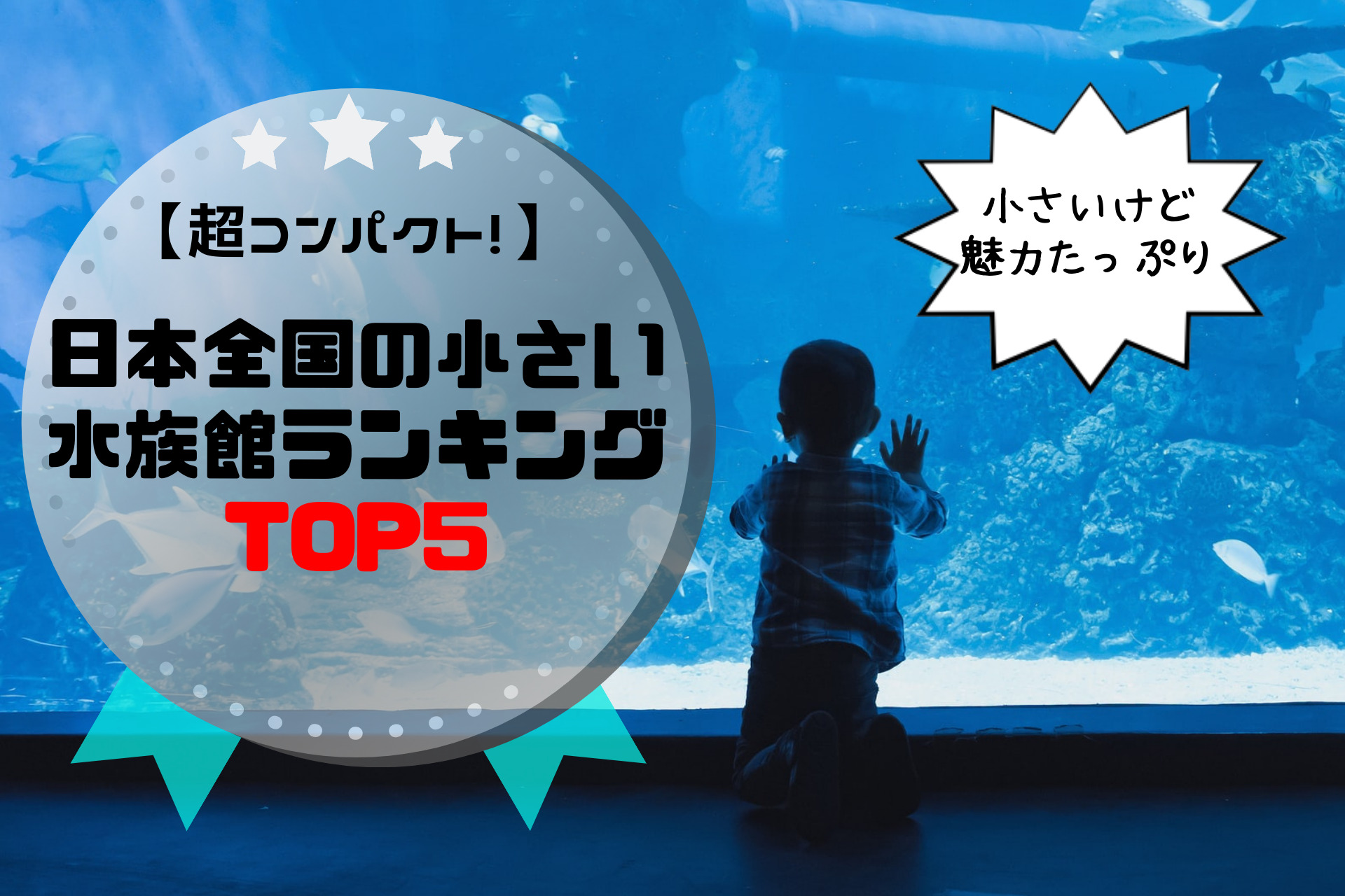 超コンパクト 日本全国の小さい水族館ランキングtop5を発表 ふぉむすい