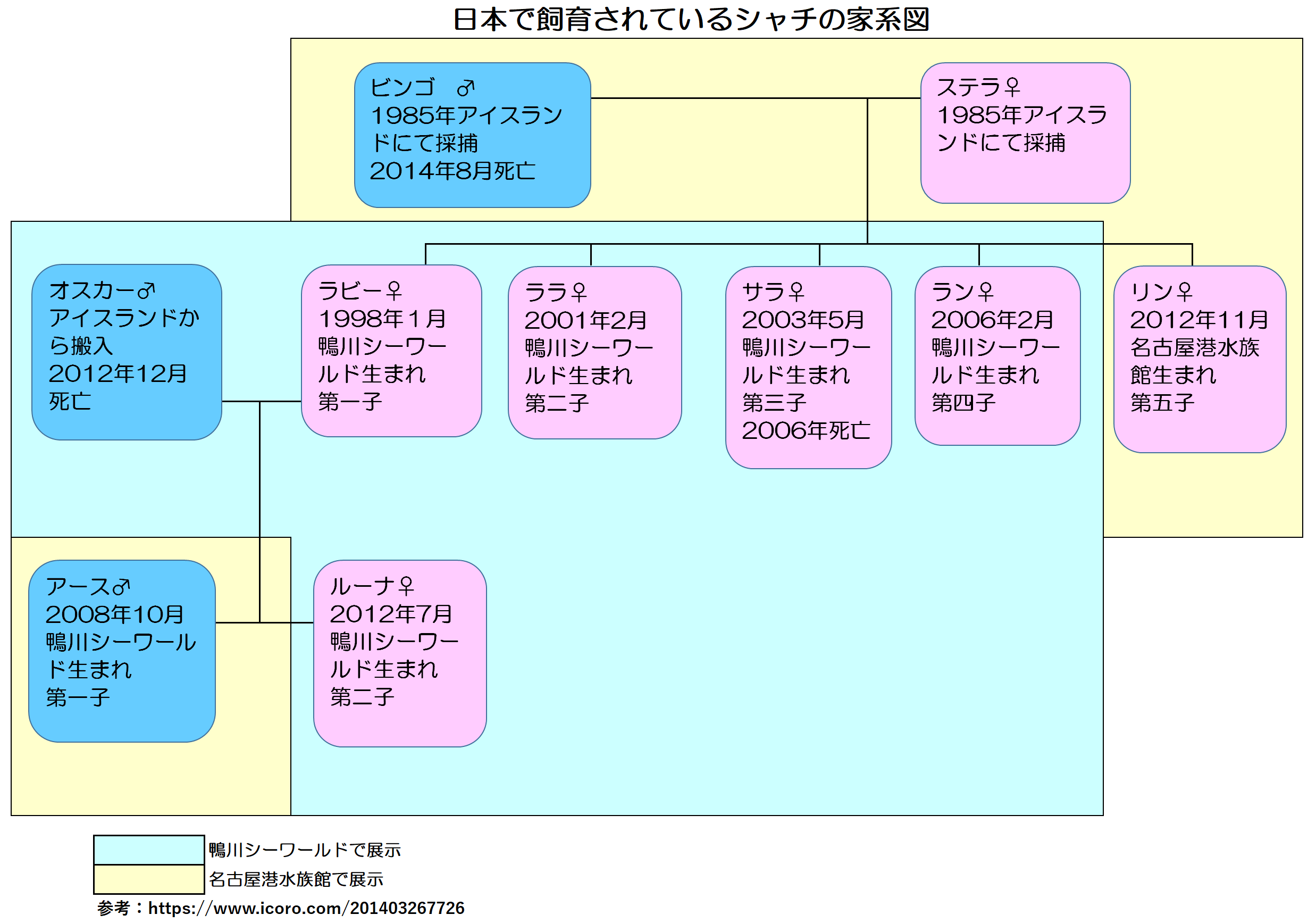 鴨川シーワールドで大人気のシャチ 6つの魅力を徹底解説します ふぉむすい